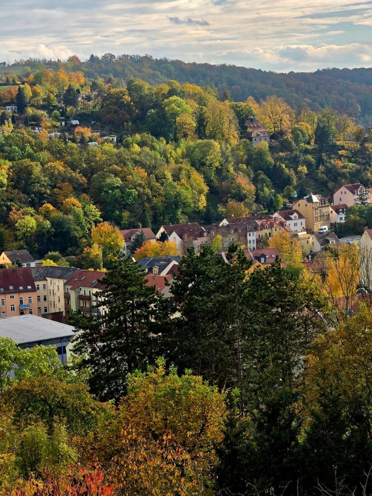 Cozy Pet-Friendly Apartment Meißen Esterno foto
