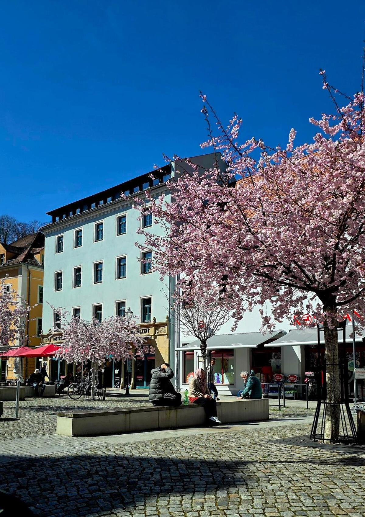 Cozy Pet-Friendly Apartment Meißen Esterno foto